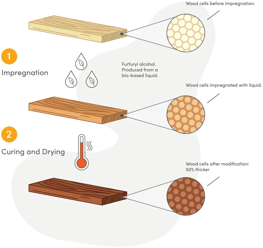 Kebony-Dual-Modification-Process